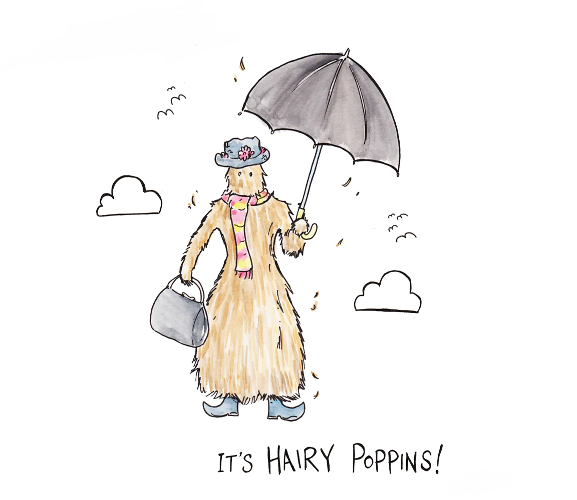 hairypoppins.eth Ethereum Name Service (ENS and .eth domain) PFP