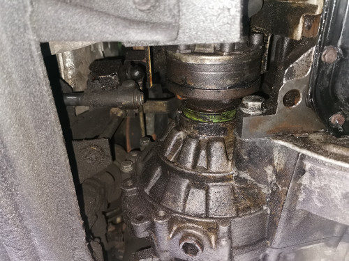 IMG 20210616 171145.jpg