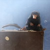 niffler magical sid.png