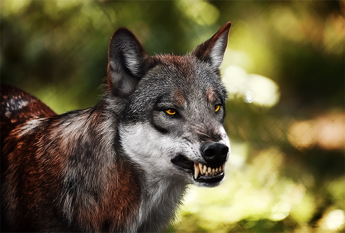 image 2021 08 14 192430.png