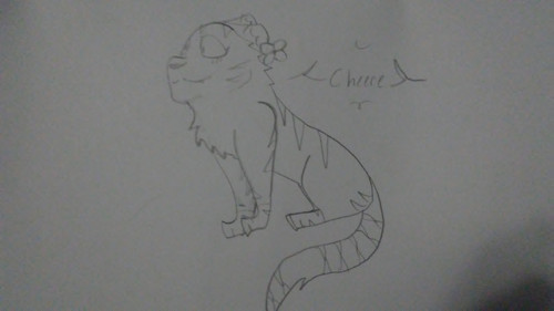 16286150417071759204754