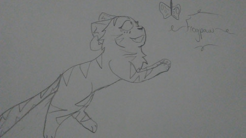 16286149301051802808918