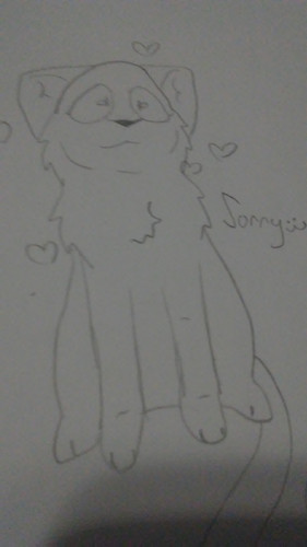 1628622444666 943978902