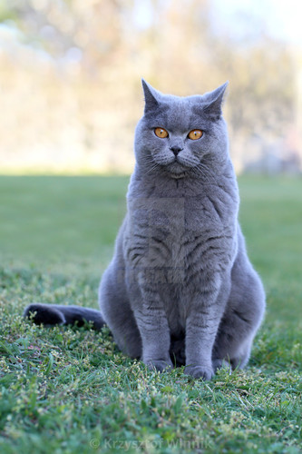 kntncyshveqkhagjfoii