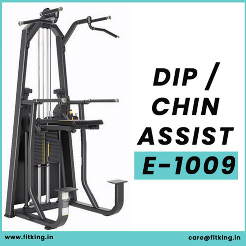 DIP CHIN ASSIST E 1009.jpg