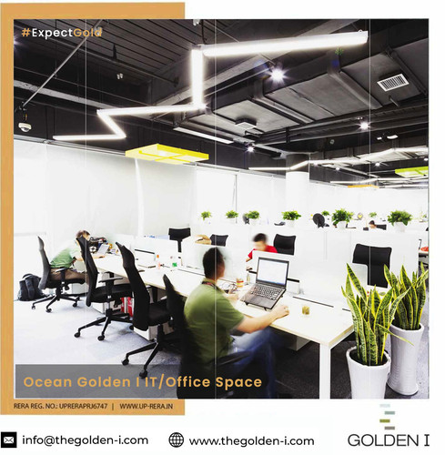 Ocean Golden i IT Office Space.jpg