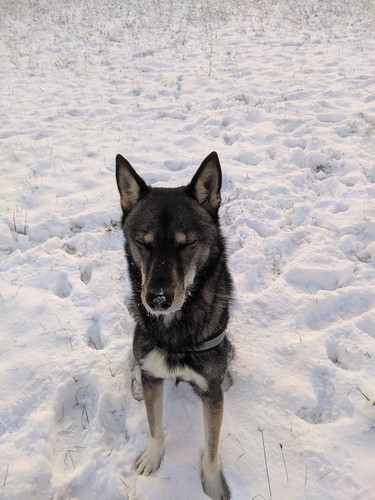 7DF693EC 6B67 4970 ABFE F769EA5EB9C6.jpg