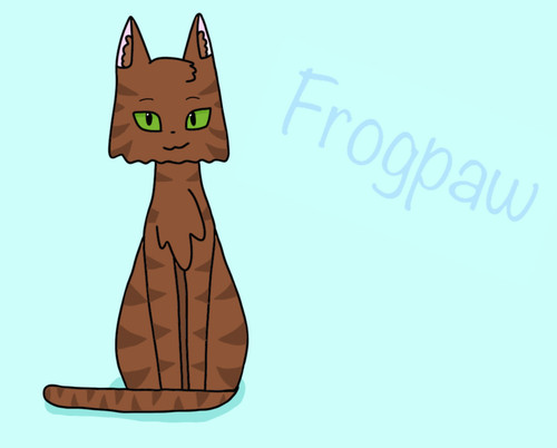 Frogpaw:storm