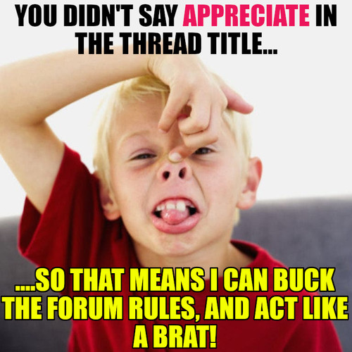 STEVE HOFFMAN ASSHOLES.jpg