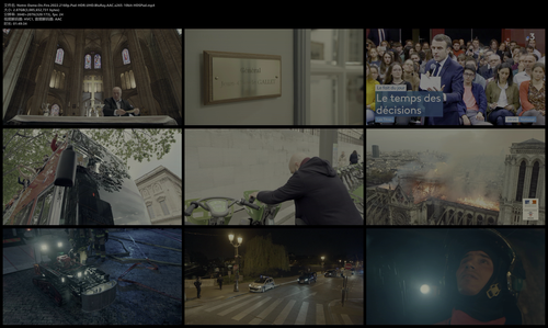 Notre Dame.On.Fire.2022.2160p.Pad HDR.UHD.BluRay.AAC.x265 10bit HDSPad.mp4.png