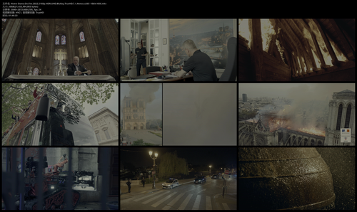 Notre Dame.On.Fire.2022.2160p.HDR.UHD.BluRay.TrueHD.7.1.Atmos.x265 10bit HDS.mkv.png
