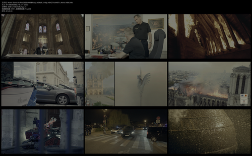 Notre Dame.On.Fire.2022.UHD.BluRay.REMUX.2160p.HEVC.TrueHD7.1.Atmos HDS.mkv.png