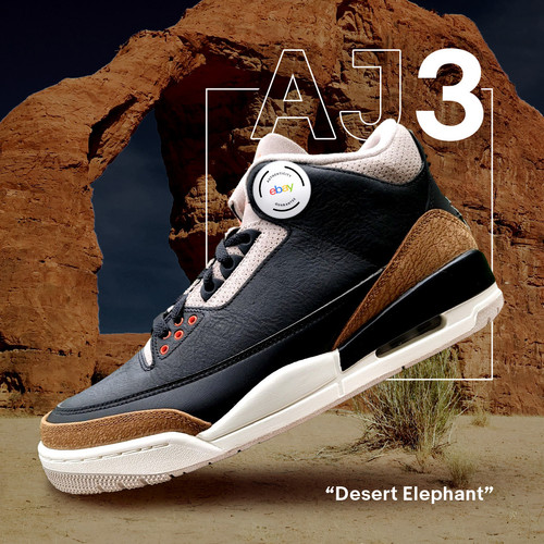 080422 RW31 FAS Sneakers AJ3Elephant TW 1x1 FINAL (1).jpg