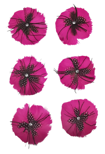 PhotoRoom 20220731 145242 11 edit 16896225091171.png
