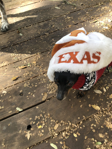 20201101 130158 IMG 7107.jpg