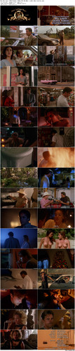 The.Hot.Spot.1990.BluRay.1080p.DTS HD.MA5.1.x265.10bit BeiTai preview.jpg