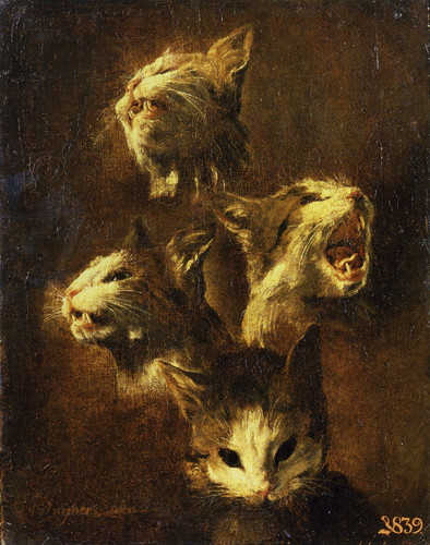 frans snyders study cat head.jpg