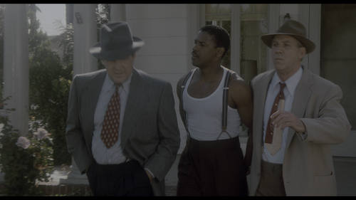 Devil.in.a.Blue.Dress.1995.UHD.BluRay.REMUX.2160p.HEVC.DTS HD.MA5.1 HDS.mkv 20220728 165406.096.png