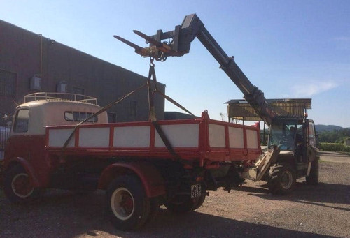 34777278 170814077099835 8079642273362477056 n.jpg