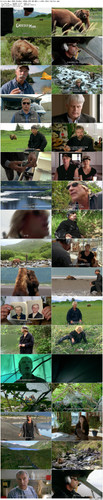 Grizzly.Man.2005.BluRay.1080p.DTS HD.MA5.1.x265.10bit BeiTai preview.jpg