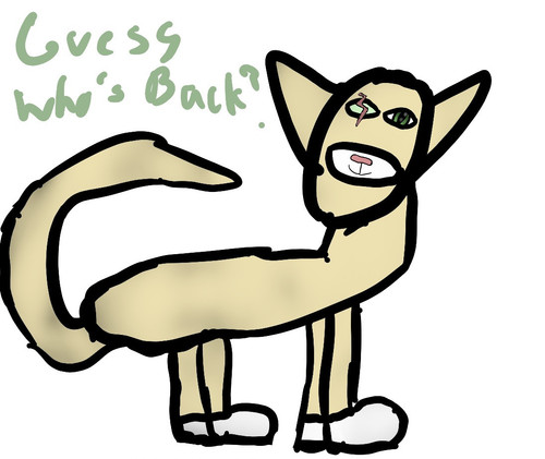 02CC62D5 D4C5 490F B04C 333CA371BF81.jpg