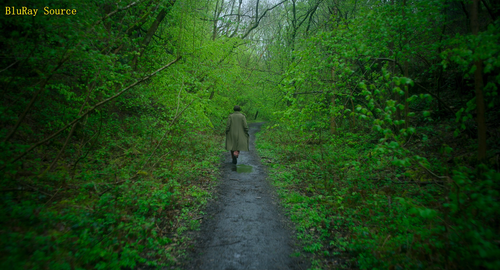 01原图.vpy 31942.png