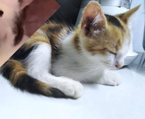 IMG 20220803 WA0004.jpg