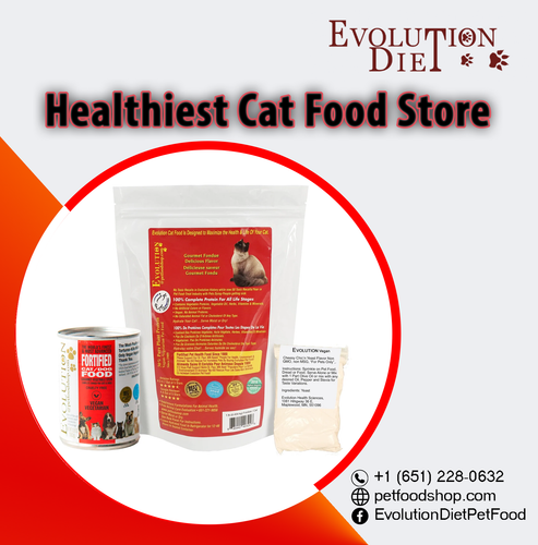 Healthiest Cat Food Store.png