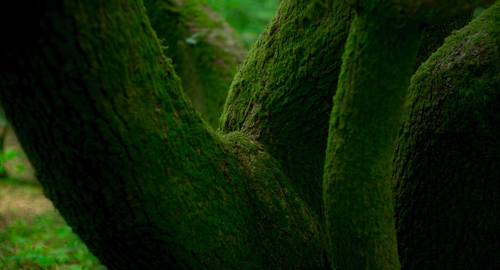 Men.2022.BluRay.Pad.1080p.AAC.x265 10bit HDSPad.mp4 20220803 231035.315.png