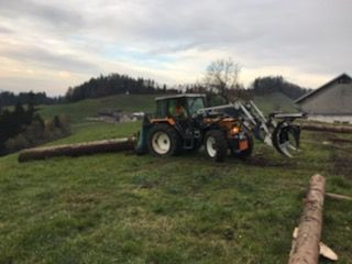 A7852804 A102 43FD 9297 2E12D0860502.jpg