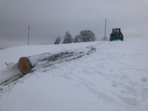 8A207506 6A1F 4A10 9876 865C32E849D3.jpg