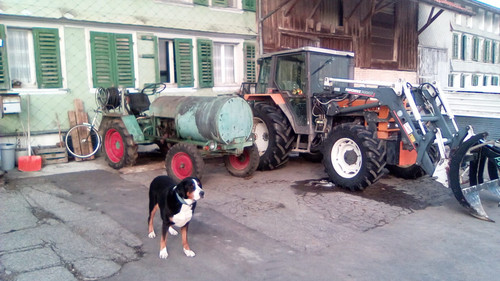 EFF33997 95F2 4DBD 8AD2 1623CBF59724.jpg