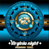 virginia night.gif