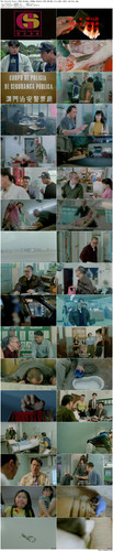 The.Untold.Story.1993.BluRay.1080p.2Audio.DTS HD.MA.2.0.x265.10bit BeiTai preview.jpg