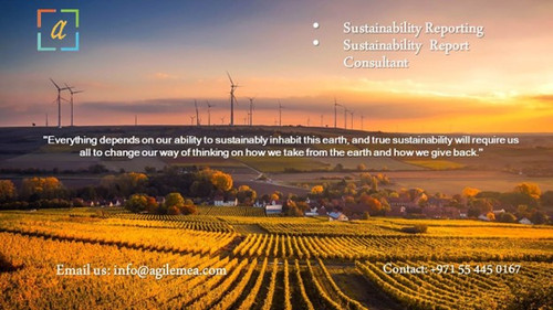 Sustainability 3.jpg