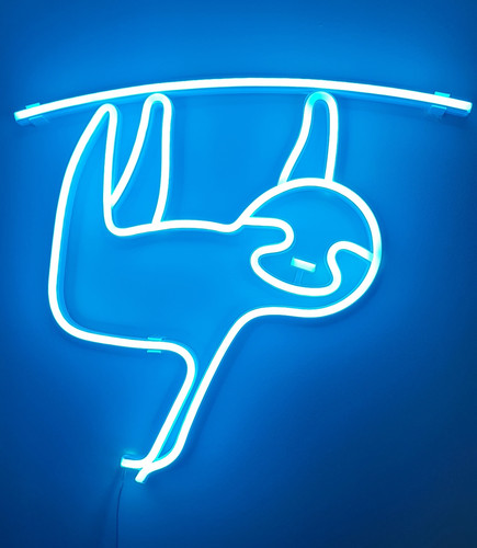 20220728 135341 (1).jpg