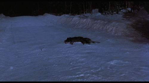 Wolf.1994.BluRay.REMUX.1080p.AVC.DTS HD.MA5.1 HDS.mkv 20220728 174655.332.png