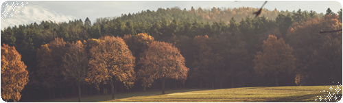 dchsjlb e6a930ce f415 4444 8ecb 5203994d5820.png