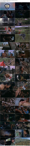 Lost.Souls.1980.BluRay.1080p.DTS HD.MA.2.0.x265.10bit BeiTai preview.jpg