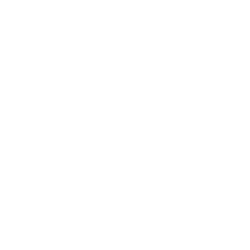 economica aziendale statistica.png