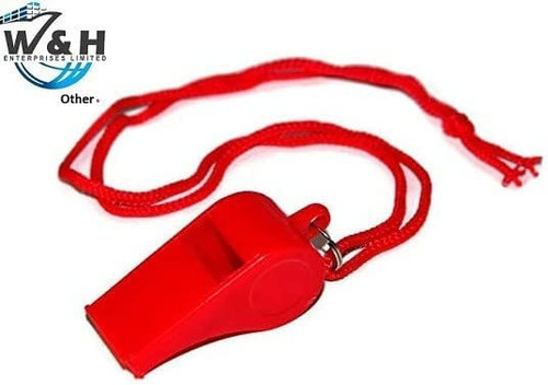 41Ox9H H6oL. AC .jpg