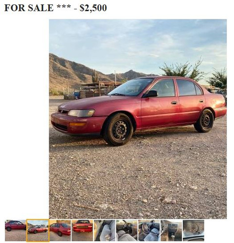 corolla7.jpg