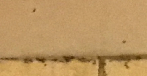 14983111 9442 4DAF 912E 4005A16B7ABE.jpg