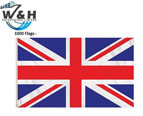 71Cl9zWIvoL. AC SX466 .jpg