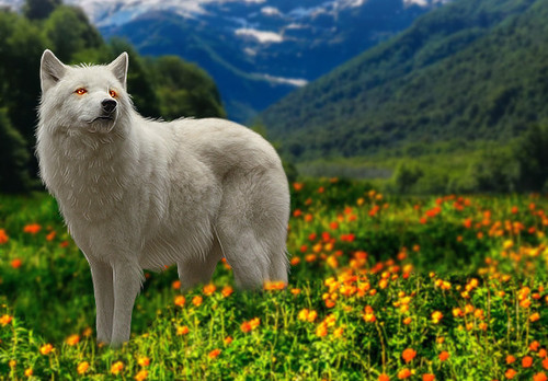 imageedit 19 6773797823.jpg