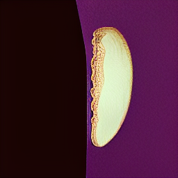 a golden cast of mandelbrot lilac zl.png