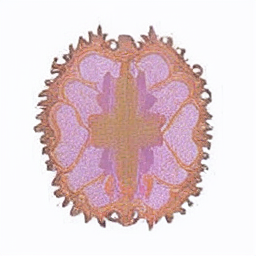 a golden cast of mandelbrot lilac zzd.png