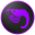 shrimp32.png