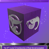 WhaleHarvestFrontNFT.png