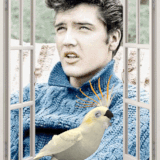 e O0uJICekSmEnQ 4rK0LJ59 DxxenrbEYzFm3Fvtuz717 TXsWkKBSkZm Xzu6H.gif